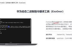 简单分析华为的ExaGear和ElTechs公司的ExaGear是不是一个东西